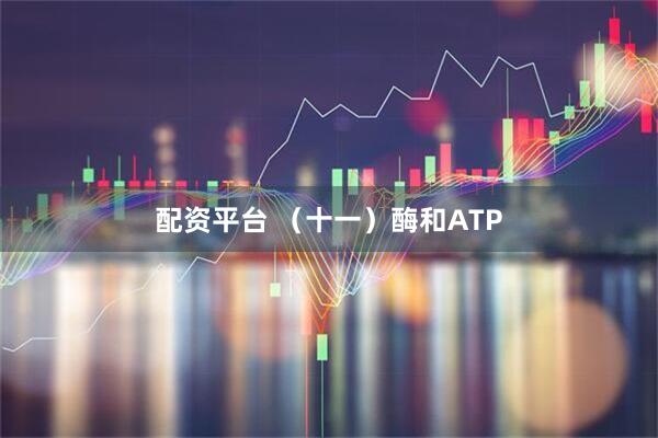 配资平台 （十一）酶和ATP