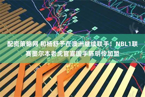 配资策略网 和杨舒予在澳洲继续联手！NBL1联赛墨尔本老虎官宣国手陈明伶加盟