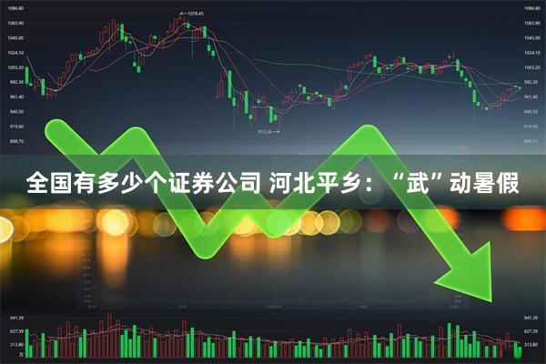 全国有多少个证券公司 河北平乡：“武”动暑假